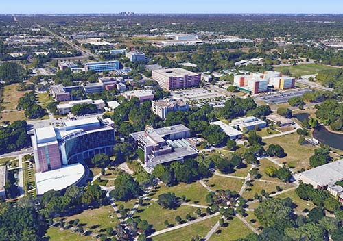 University of South Florida University of South Florida
